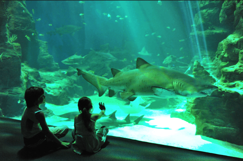 Aquarium Lisbonne en famille