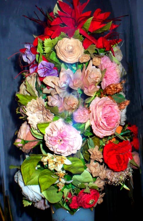 Constantino, o rei das floristas, le roi des fleuristes !