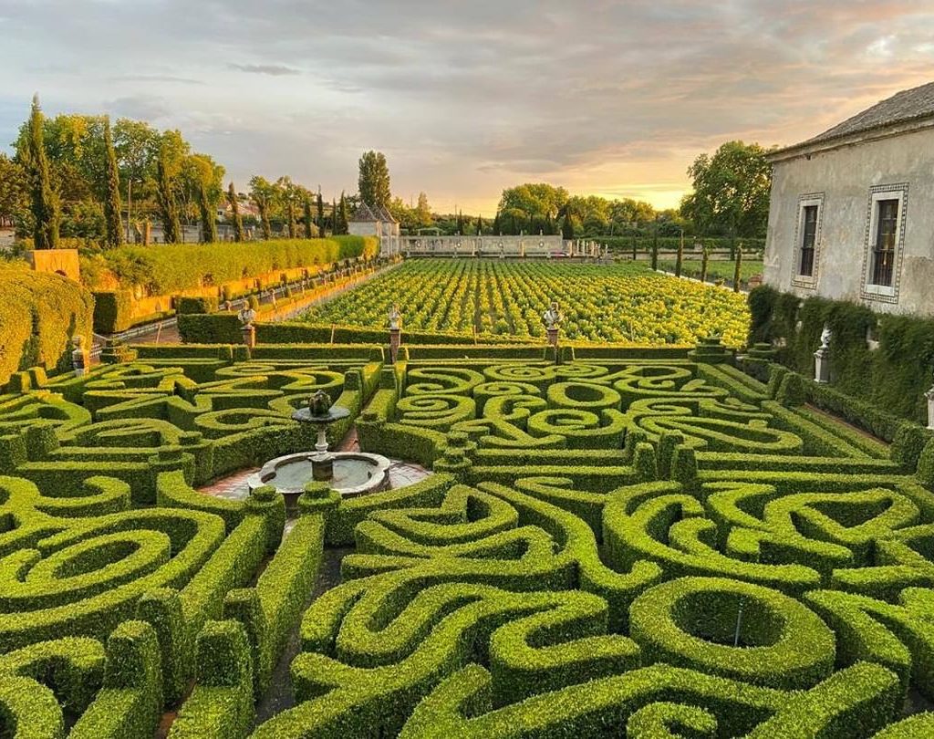 Guide des vins portugais avec Bacalhoa, un vin de la péninsule de Sétubal