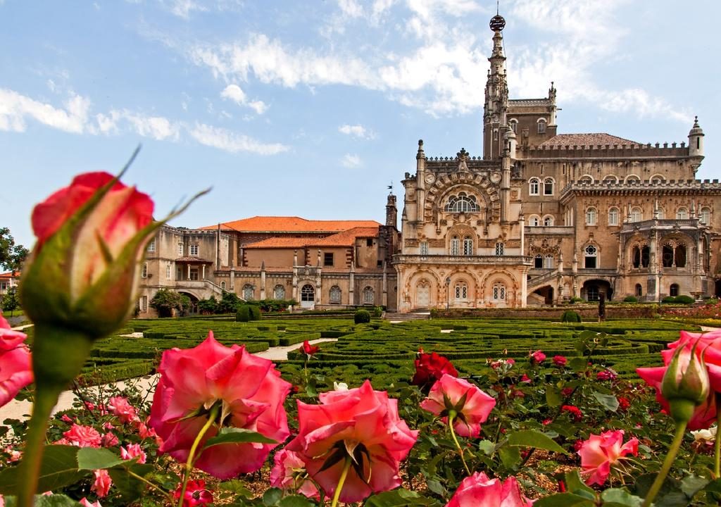 Palais de Buçaco, un palais au coeur de la région viticole de Bairrada