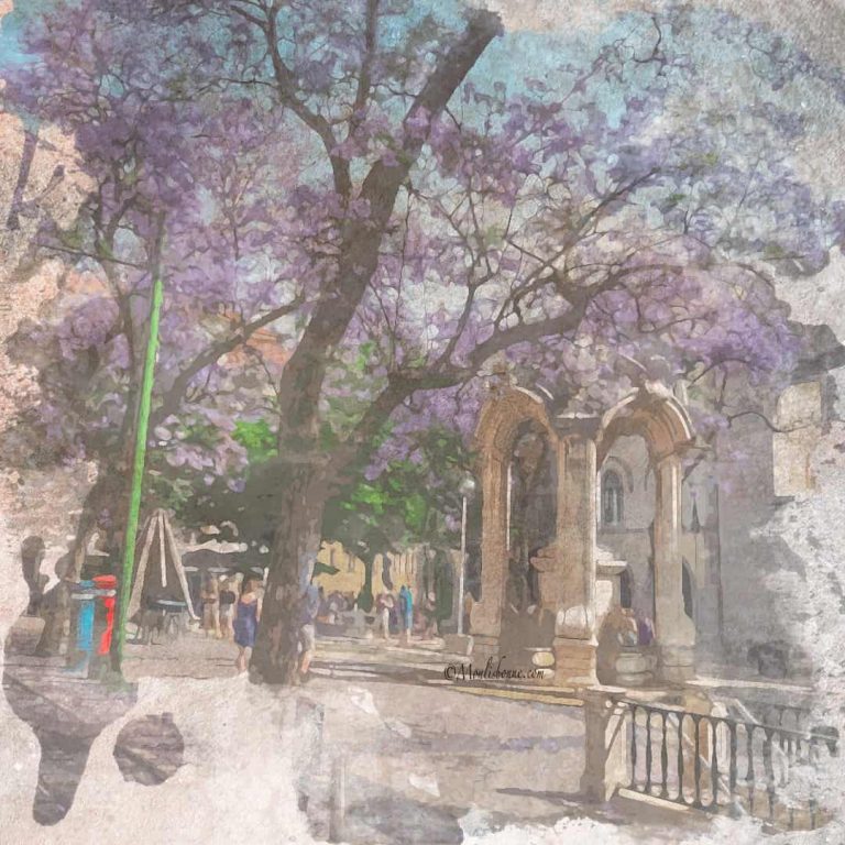 Visite à pied privée de Lisbonne en Français hors des sentiers battus à Largo do Carmo