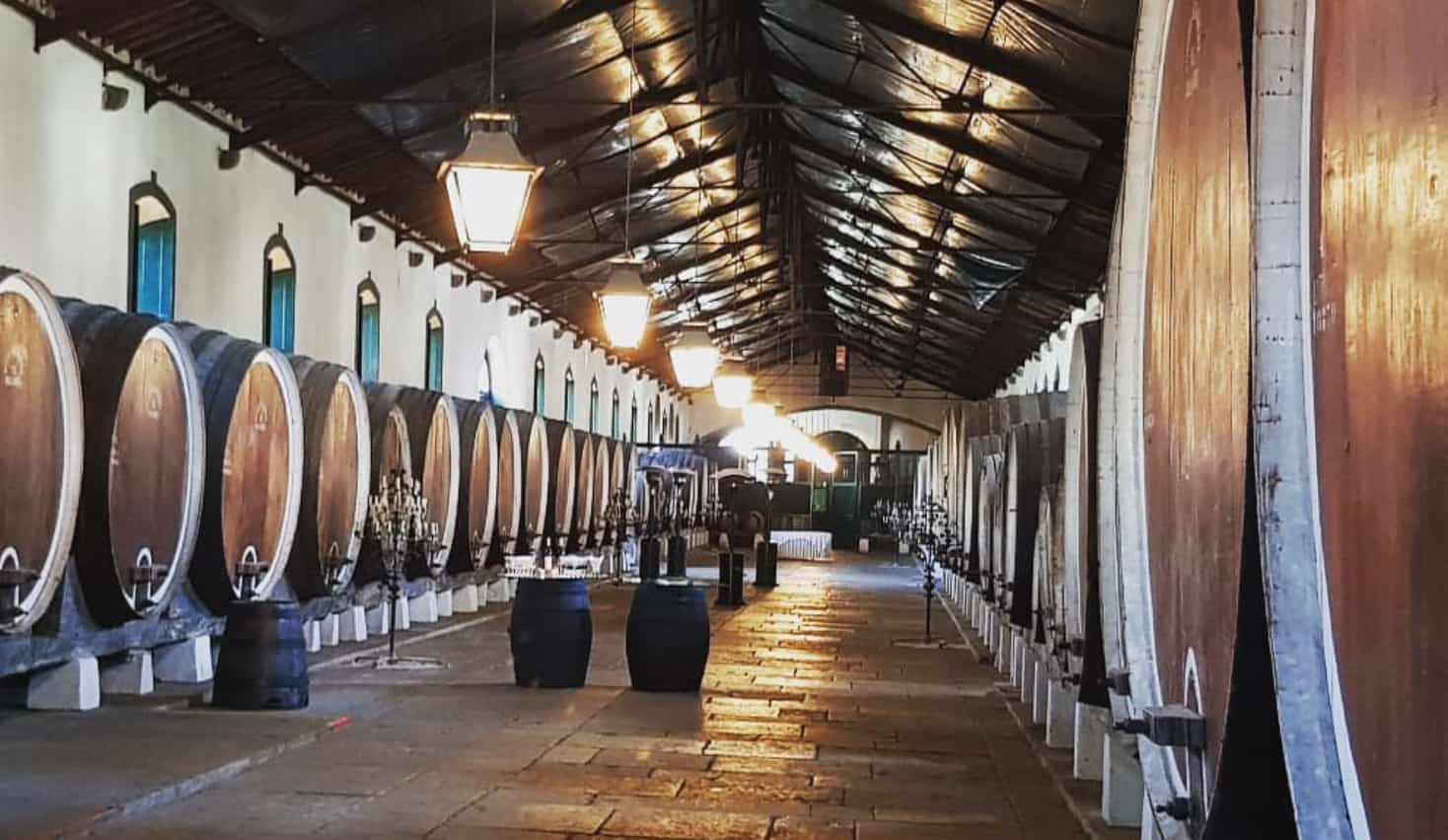 Tour des vignobles de Lisbonne.