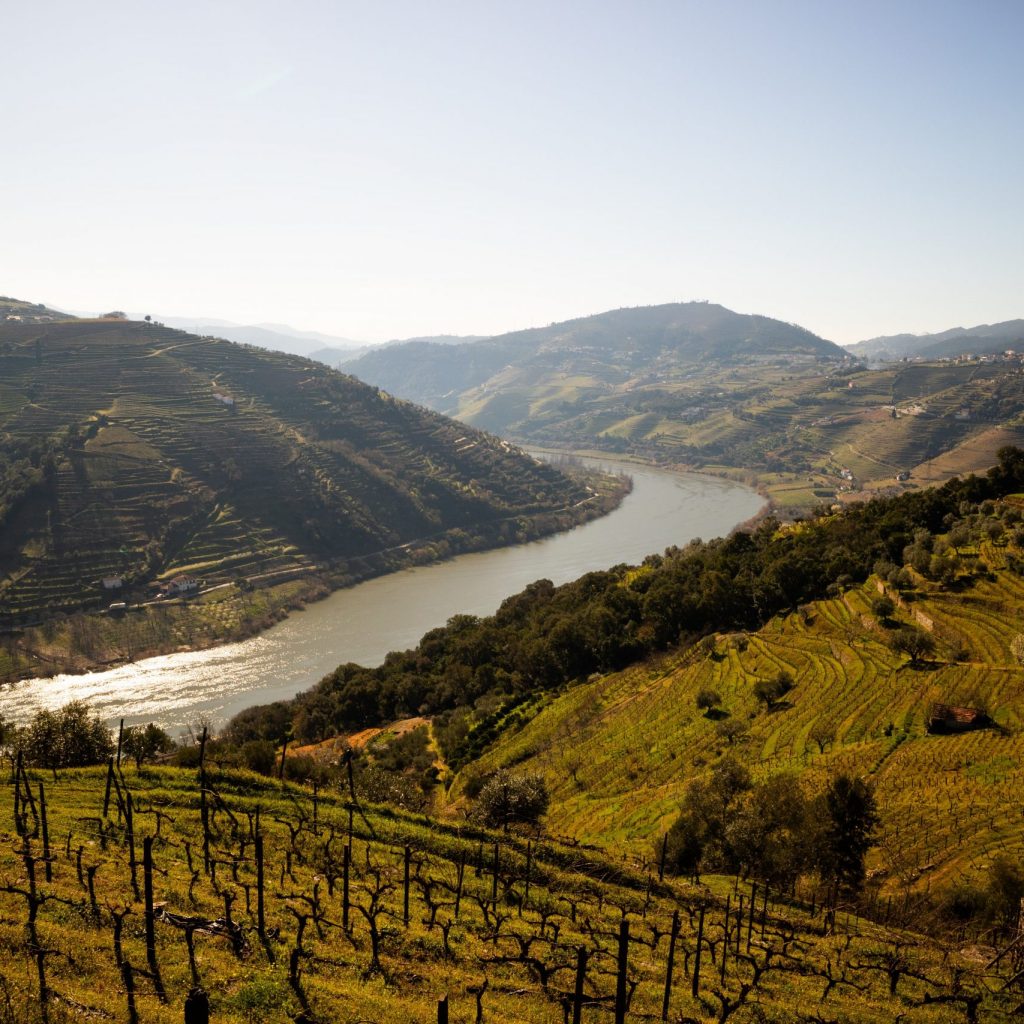 Guides des vins du Portugal avec la région viticole de la vallée du Douro
