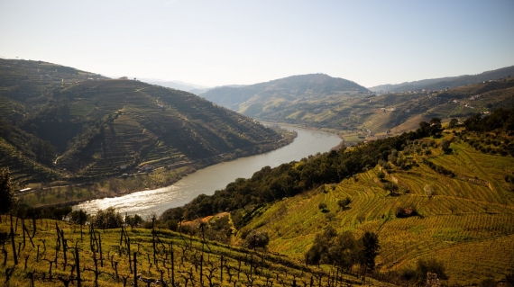 Guides des vins du Portugal avec la région viticole de la vallée du Douro