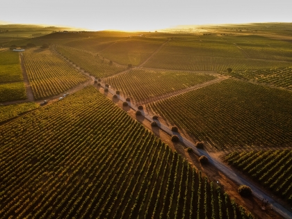 Vins d'alentejo représentés par Herdade Grande lors de la deuxième dégustation Tchin Tchin de Lisbonne