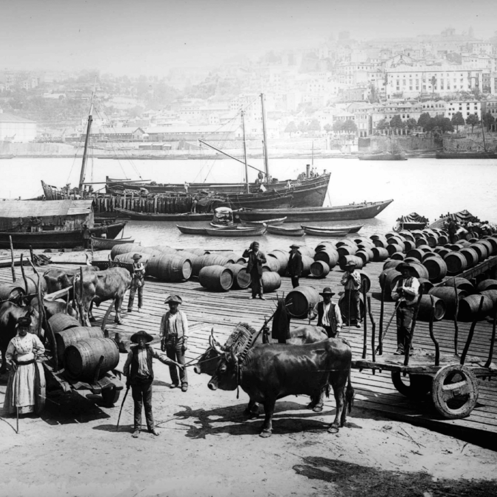 Histoire des vins du Portugal et de leur export à l'international