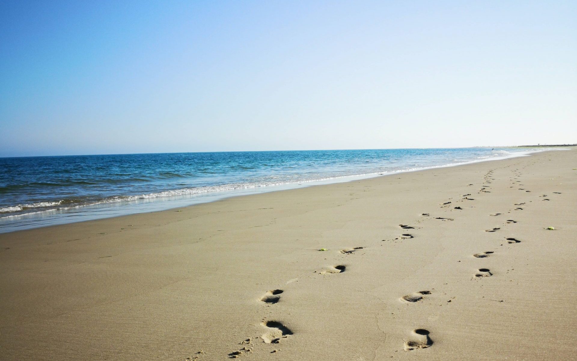 Jour 7 : Ria Formosa