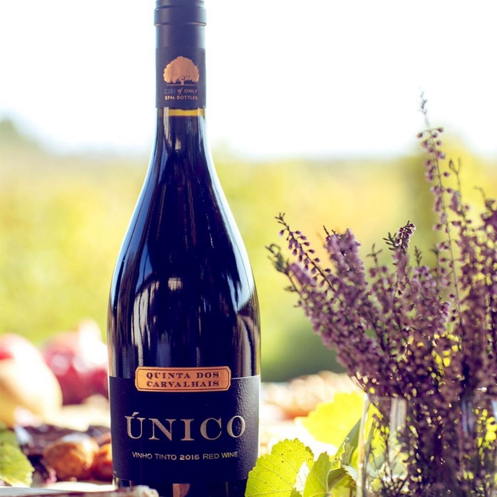 Quinta dos Carvalhais, un vin exceptionnel produit dans la région du Dão