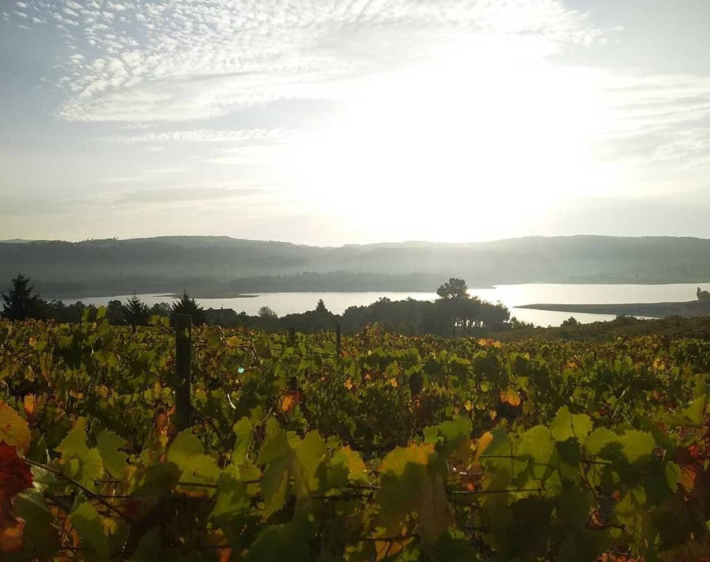 Guides des vins du Portugal avec la région viticole Tavora et Varosa