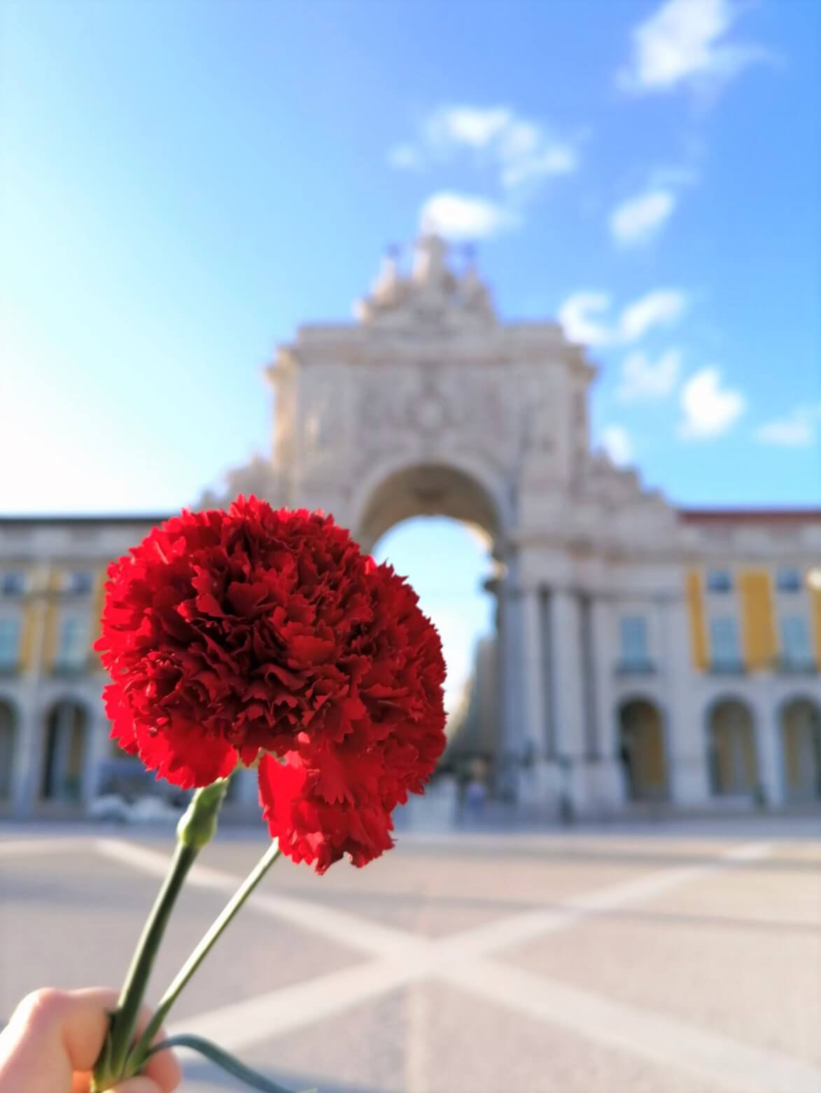 oeillet rouge symbole de la révolution du 25 avril dans la praça do comercio
