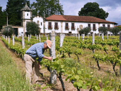 Les vins de tras-Os-Montes au Portugal à travers les vins de Palmeirim d'Inglaterra