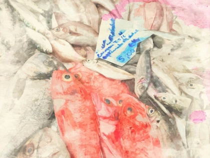 marché 31 de janeiro - Lisbonne Arroios - Marchés de Lisbonne