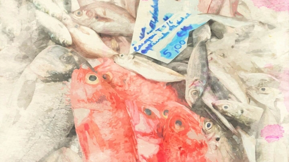 marché 31 de janeiro - Lisbonne Arroios - Marchés de Lisbonne