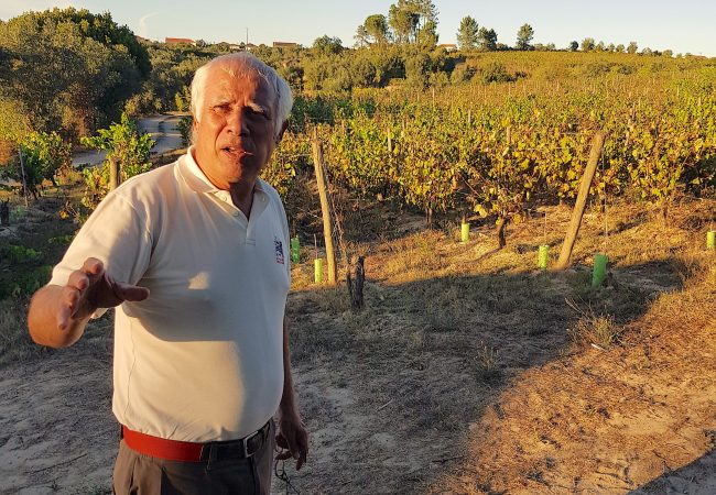 José vigneron du dao dans la quinta do perdigao