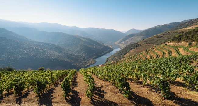La vallée du Douro une étape incontournable pendant un road trip au Portugal